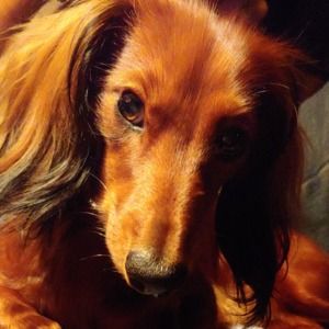 Meet your Posher, Jan